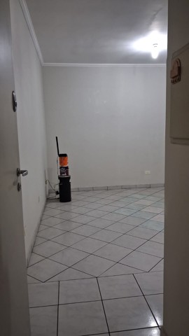 Entrada do apartamento com visão da sala (3/14)