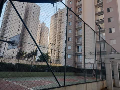 Apartamento à venda em Guarulhos (V Das Bandeiras - Itapegica), 3 dormitórios, 1 banheiro, 1 vaga, 500 m2 de área útil, código 29-1171 (51/64)