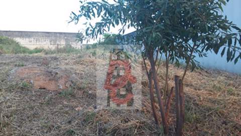 Terreno à venda em Guarulhos (V Rosália - V Galvão), 55.250 m2 de área total, código 29-1207 (6/8)