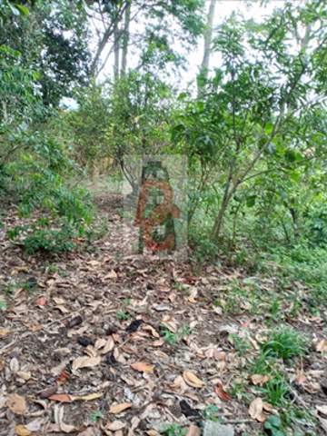 Chácara à venda em Guarulhos (Recreio São Jorge), 1.000 m2 de área total, código 29-1248 (5/7)