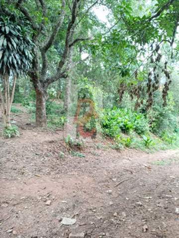 Chácara à venda em Guarulhos (Recreio São Jorge), 1.000 m2 de área total, código 29-1248 (6/7)