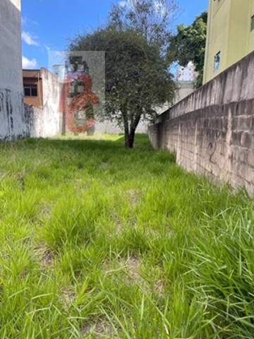 Terreno à venda em Guarulhos (Jd Bom Clima), 282 m2 de área útil, código 29-1489 (2/6)