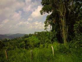 Terreno à venda em Nazaré Paulista, 1000 m2 úteis