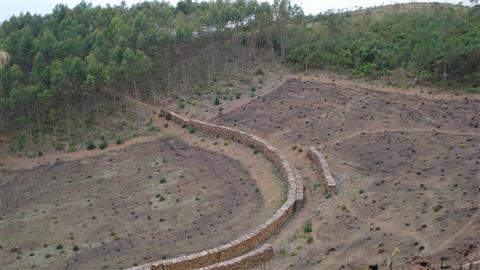 Sítio à venda em Mairiporã (Mairiporã), 3 dormitórios, 1 banheiro, 72.600 m2 de área útil, código 36-620 (1/4)