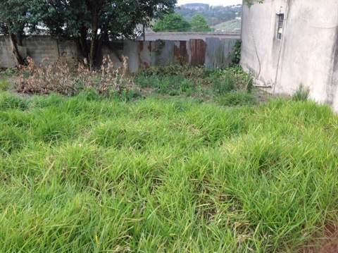 Terreno à venda em Guararema (Guararema), 495 m2 de área útil, código 36-743 (3/10)