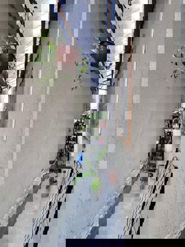 Sobrado à venda em Guarulhos (Jd Normandia - Pimentas), 3 dormitórios, 1 suite, 3 banheiros, 1 vaga, 250 m2 de área útil, código 36-812 (1/12)