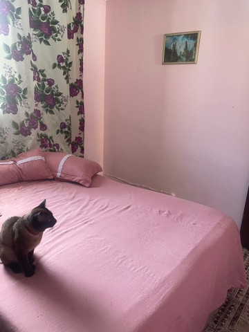 Apartamento à venda em Guarulhos com 2 dormitórios, 1 banheiro, 1 vaga, código 36-817 (6/8)