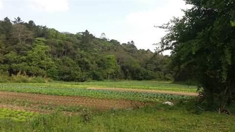 Chácara à venda em Guarulhos (Tapera Grande - São João), 3 dormitórios, 2 banheiros, 30 vagas, 110 m2 de área útil, código 181-1283 (4/24)