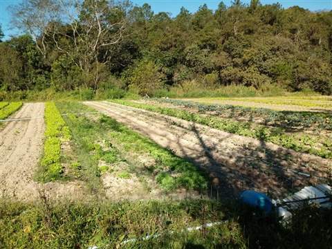 Chácara à venda em Guarulhos (Tapera Grande - São João), 3 dormitórios, 2 banheiros, 30 vagas, 110 m2 de área útil, código 181-1283 (8/24)