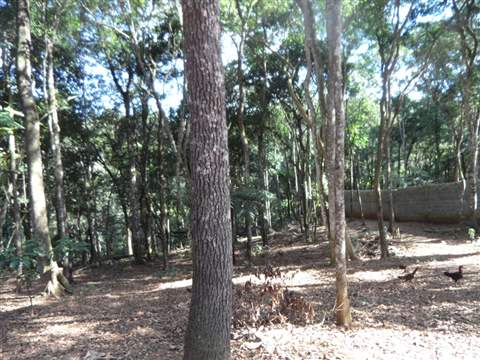 Chácara à venda em Guarulhos (Pq Res Bambi - Bonsucesso), 1 dormitório, 1 banheiro, 20 vagas, 50 m2 de área útil, código 181-1393 (16/21)