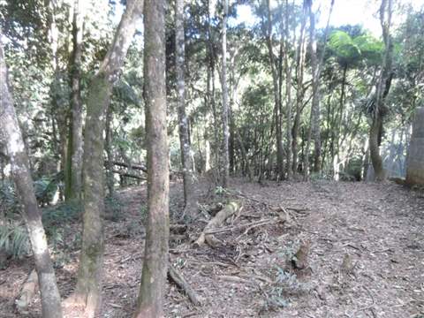 Chácara à venda em Guarulhos (Pq Res Bambi - Bonsucesso), 1 dormitório, 1 banheiro, 20 vagas, 3.890 m2 de área útil, código 181-1393 (17/21)