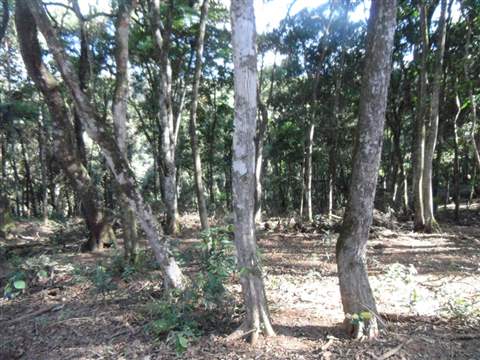 Chácara à venda em Guarulhos (Pq Res Bambi - Bonsucesso), 1 dormitório, 1 banheiro, 20 vagas, 50 m2 de área útil, código 181-1393 (20/21)