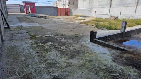Galpão para alugar em Guarulhos (V Nova Bonsucesso), 6 banheiros, 20 vagas, 500 m2 de área útil, código 181-2079 (24/29)
