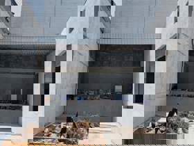 Galpão para alugar em Guarulhos, 650 m2 úteis