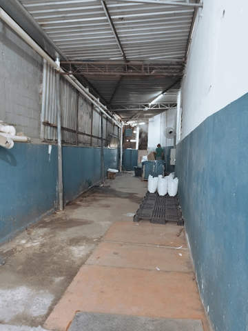 Galpão para alugar em Guarulhos (V Itapegica), 6 banheiros, 10 vagas, 2.000 m2 de área útil, código 181-2090 (15/39)