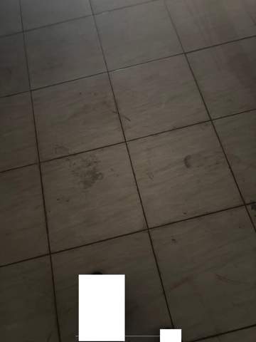 Galpão para alugar em Guarulhos (V Nova Bonsucesso), 2 banheiros, 4 vagas, 300 m2 de área útil, código 181-2133 (5/6)