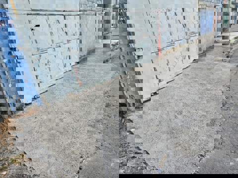 Galpão para alugar em Guarulhos (Jd Álamo - Bonsucesso), 2 banheiros, 2 vagas, 300 m2 de área útil, código 181-2134 (5/17)
