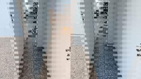 Galpão para alugar em Guarulhos (Jd Maria Dirce - Pres Dutra), 2 banheiros, 3 vagas, 270 m2 de área útil, código 181-2146 (6/20)