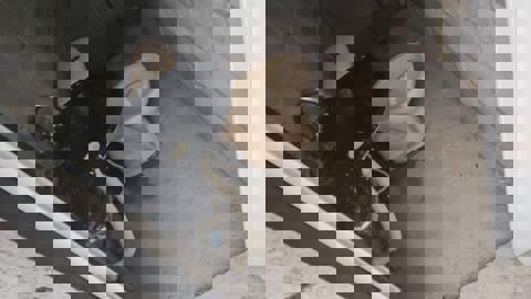 Galpão para alugar em Guarulhos (V Nova Bonsucesso), 2 banheiros, 2 vagas, 200 m2 de área útil, código 181-2158 (5/11)