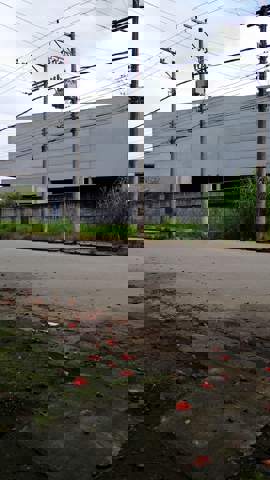 Galpão à venda em Guarulhos (Cid Ind Sat de São Paulo - Cumbica), 8 banheiros, 20 vagas, 4.000 m2 de área útil, código 181-2183 (11/35)