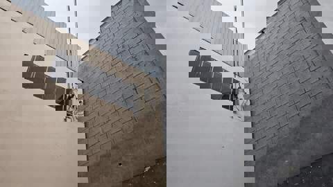 Galpão para alugar em Guarulhos (Cid Pq São Luiz - Pres Dutra), 4 banheiros, 6 vagas, 500 m2 de área útil, código 181-2199 (30/33)