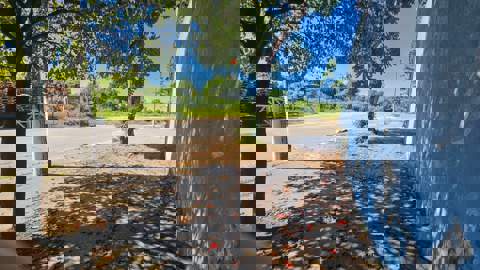 Galpão para alugar em Guarulhos (Cid Ind Sat de São Paulo - Cumbica), 10 banheiros, 30 vagas, 12.500 m2 de área útil, código 181-2202 (20/65)