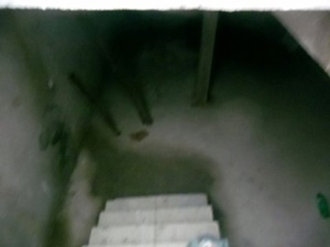 Galpão para alugar em Guarulhos (Bonsucesso), 2 banheiros, 2 vagas, 250 m2 de área útil, código 181-2212 (35/36)