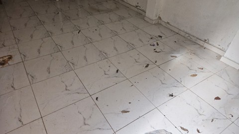 Galpão para alugar em Guarulhos com 2 banheiros, 4 vagas, 200 m2 de área útil, código 181-2224 (7/16)