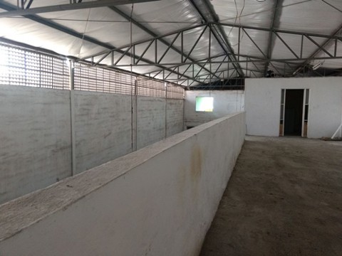 Galpão em Guarulhos com 3 banheiros, 2 vagas, 300 m2 de área útil, código 181-2240 (6/20)