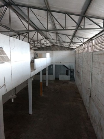 Galpão em Guarulhos com 3 banheiros, 2 vagas, 300 m2 de área útil, código 181-2240 (19/20)