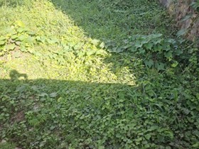 Terreno à venda em Guarulhos com 300 m2 úteis