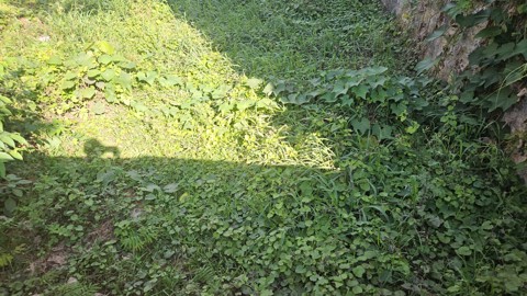 Terreno à venda em Guarulhos com 300 m2 de área útil, código 181-2279 (1/10)