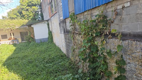 Terreno à venda em Guarulhos com 300 m2 de área útil, código 181-2279 (8/10)