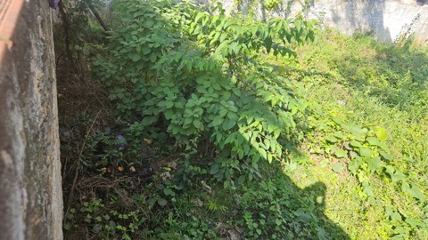 Terreno à venda em Guarulhos com 300 m2 de área útil, código 181-2279 (9/10)