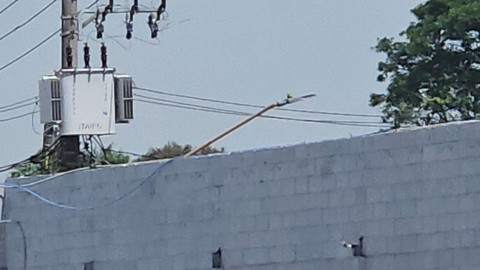Galpão para alugar em Guarulhos com 10 banheiros, 20 vagas, 6.500 m2 de área útil, código 181-2300 (25/45)