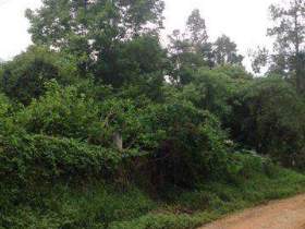 Terreno à venda em Guarulhos, 1200 m2 (total)