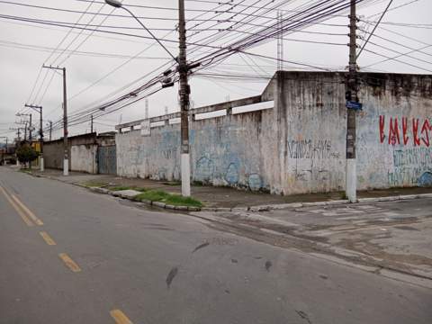 Área para alugar em Guarulhos (Jd Pres Dutra), 1.541 m2 de área total, código 300-745 (6/30)