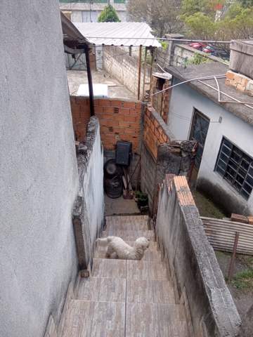 Sobrado à venda em Guarulhos (Jd Pres Dutra), 2 dormitórios, 1 suite, 3 banheiros, 4 vagas, código 300-915 (15/24)