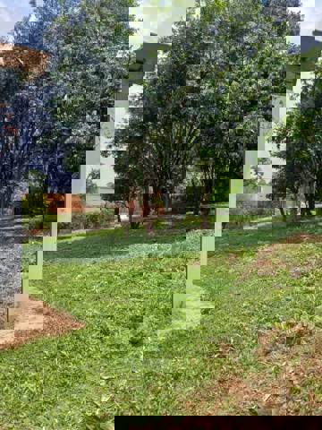 Sítio à venda em Guarulhos (Água Azul), 2 dormitórios, 1 banheiro, 8 vagas, código 300-1042 (12/21)