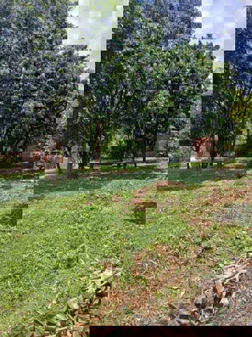 Sítio à venda em Guarulhos (Água Azul), 2 dormitórios, 1 banheiro, 8 vagas, código 300-1042 (13/21)