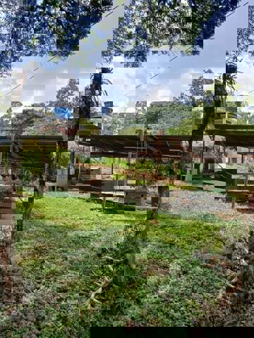 Sítio à venda em Guarulhos (Água Azul), 2 dormitórios, 1 banheiro, 8 vagas, código 300-1042 (14/21)