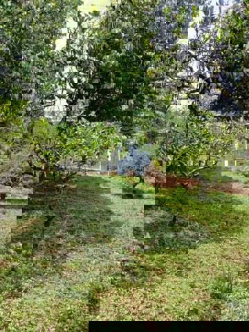 Sítio à venda em Guarulhos (Água Azul), 2 dormitórios, 1 banheiro, 8 vagas, código 300-1042 (15/21)