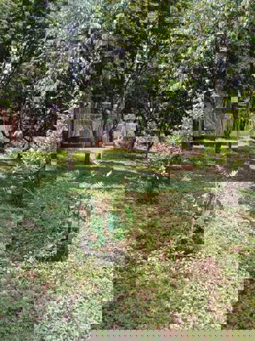 Sítio à venda em Guarulhos (Água Azul), 2 dormitórios, 1 banheiro, 8 vagas, código 300-1042 (16/21)