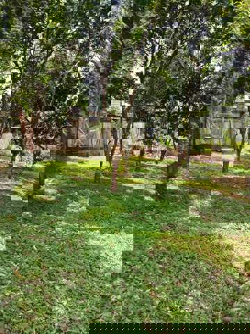 Sítio à venda em Guarulhos (Água Azul), 2 dormitórios, 1 banheiro, 8 vagas, código 300-1042 (18/21)