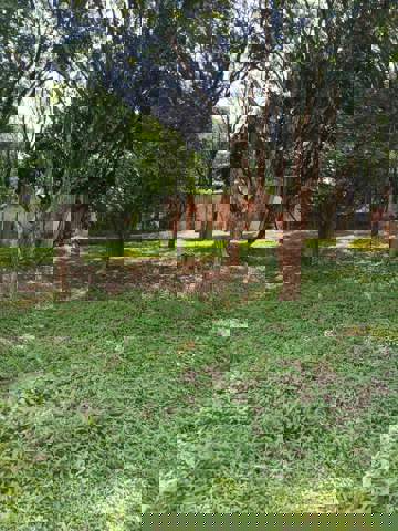 Sítio à venda em Guarulhos (Água Azul), 2 dormitórios, 1 banheiro, 8 vagas, código 300-1042 (20/21)