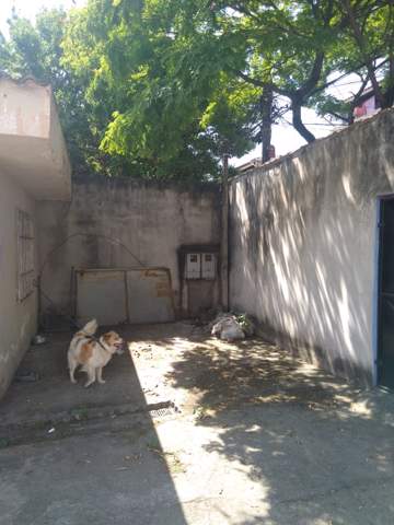 Casa à venda em Guarulhos (Jd Pres Dutra), 3 dormitórios, 2 banheiros, 5 vagas, código 300-1045 (2/10)