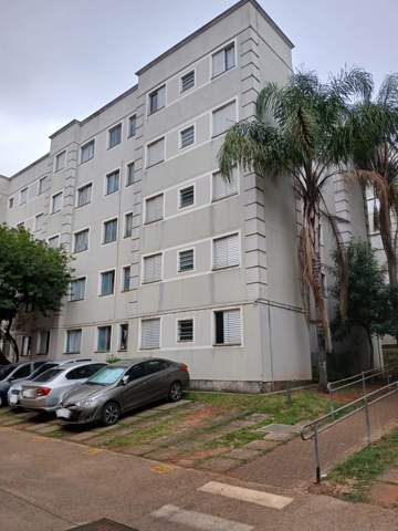 Apartamento para alugar em Guarulhos (Jd Pres Dutra), 1 dormitório, 1 banheiro, 1 vaga, código 300-1270 (1/12)