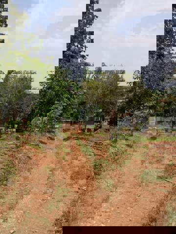 Sítio à venda em Guarulhos (Água Azul), 1.200 m2 de área total, código 300-1319 (10/14)