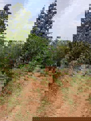 Sítio à venda em Guarulhos (Água Azul), 1.200 m2 de área total, código 300-1319 (12/14)