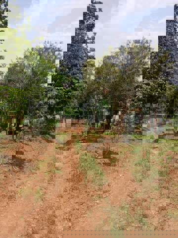 Sítio à venda em Guarulhos (Água Azul), 1.200 m2 de área total, código 300-1319 (13/14)